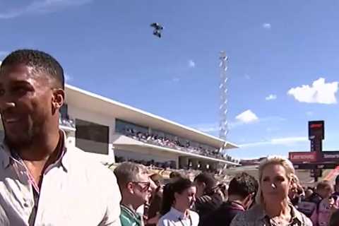 Fans Left in Stitches as Martin Brundle Waits to Interview Anthony Joshua at US Grand Prix