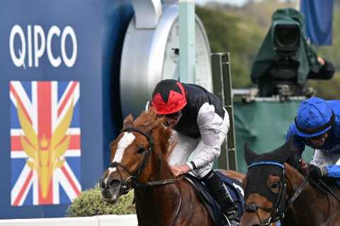 Frankie Dettori BANNED after Champions Day Heroics as Half the Winners Break Rules at Ascot