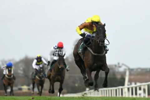 Get Ready for Tote Ten To Follow: The Ultimate Horse Racing Fantasy Game