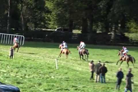 Paul Nicholls acquires potential star horse who dazzles on debut