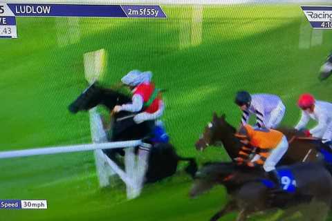 ‘Absolute mayhem’ breaks out as two jockeys ride the same horse in chaotic Ludlow pile-up