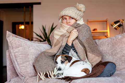 Five Essential Boiler Maintenance Tips for Winter