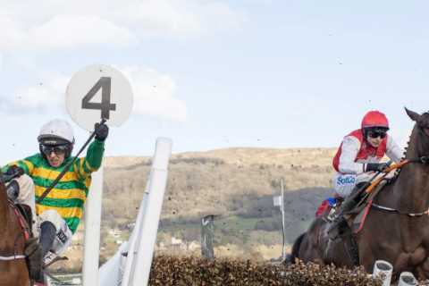 JP McManus Horse Looks Promising at Cheltenham Festival