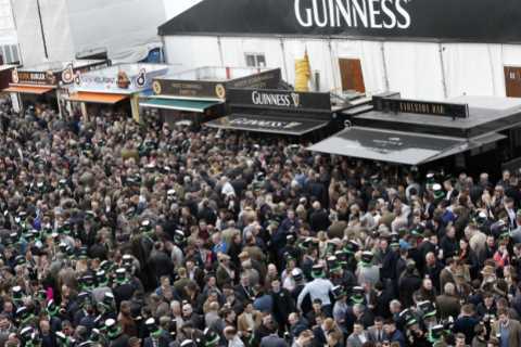 Cheltenham Races Guinness Pints 'More Expensive Than London' But Punters Relieved as Prices Stay..
