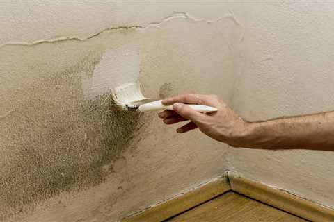 How to Get Rid of Black Mould in Your UK Home