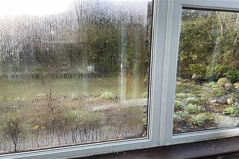Cleaning expert shares top £1 hack to banish condensation on windows