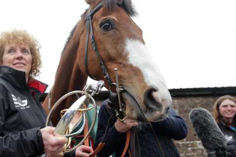 The Electric Performance of Flooring Porter Sheds Light on Racing's Fear of Trying Something..