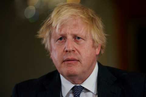 Boris Johnson's Bizarre Covid Cure Question Revealed in Inquiry