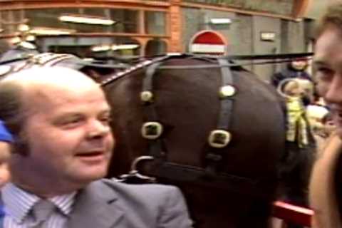 From Jockey Icon to Millionaire Rider: The Incredible Journey of James Davies