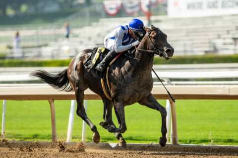 Breeders’ Cup rocked by second horse death as Geaux Rocket Ride passes away after ‘very rare’..