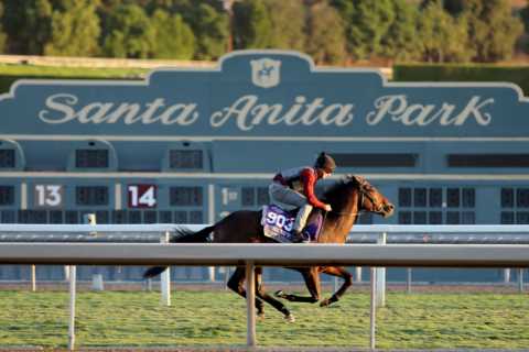 Big Evs on Brink of Breeders’ Cup History for Owner Who Named Him in Honor of Late Best Mate