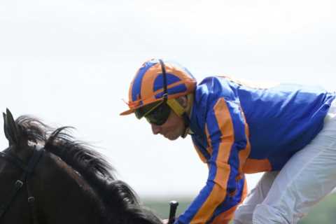 Breeders' Cup 2023: A Star-Studded Line-Up and a Big Tip in the Turf