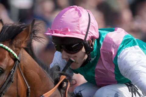 Super-stallion Frankel's stud fee skyrockets to £350,000 after earning £67 million this year