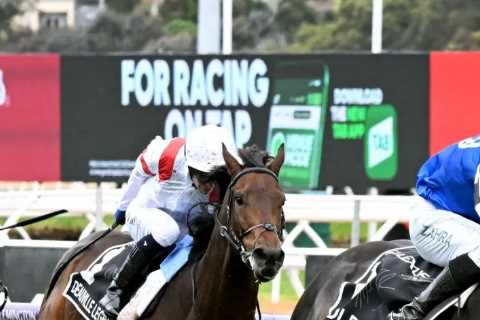 Who won the Melbourne Cup 2023? Full results and finishing order for Flemington feature race