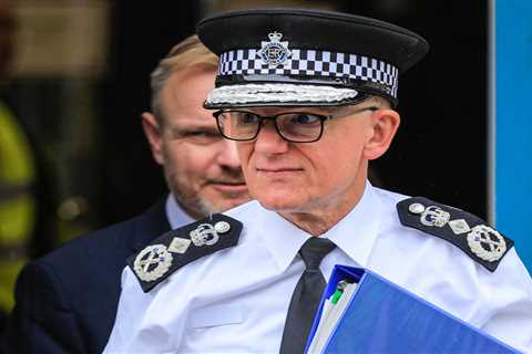 Met Police Chief Says He's Powerless to Stop Pro-Palestine Rally on Armistice Day