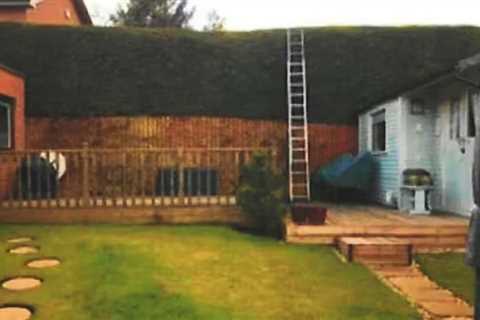 Neighbours in Edinburgh Battle Over 13ft Hedge Blocking Sun