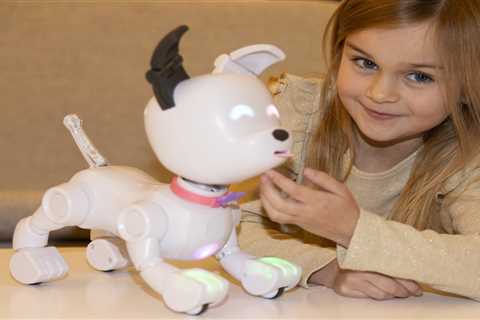 Must-Have Toys for Christmas 2023 - Lego, Hot Wheels, and Squishmallows