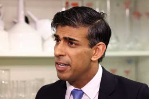 Rishi Sunak vows to hold Met Chief Mark Rowley ‘accountable’ if violence erupts at Armistice Day..