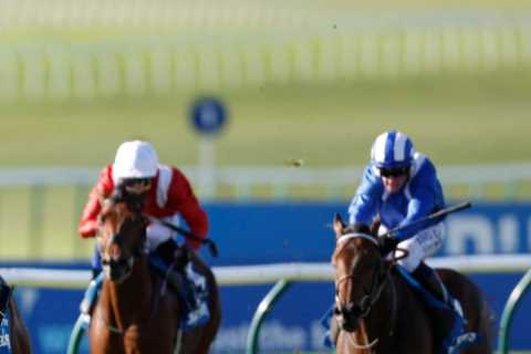 City Of Troy crowned best since Frankel – and the excitement continues