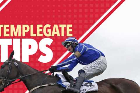 Horse racing: Templegate NAP set to dominate soft race at Chelmsford
