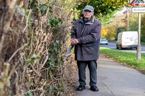 Elderly Man Takes Matters into His Own Hands, Slashes Neighbor's Hedge That Blocked Footpath