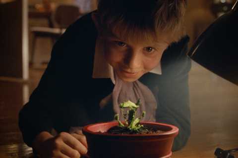 Who sings the John Lewis advert soundtrack in 2023?