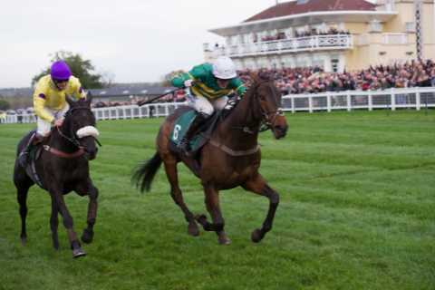 Where Have All the Great Jump Jockeys Gone? A Look Back at AP McCoy's Incredible Career