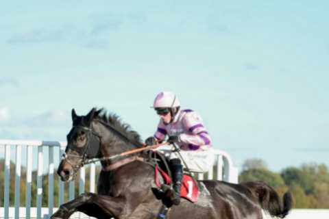 Improving, stylish and ready for Constitution Hill – I’m certain this horse is my best Saturday..
