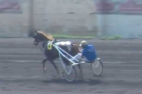 Winning Racehorse Banned After Testing Positive for Cocaine and Crystal Meth