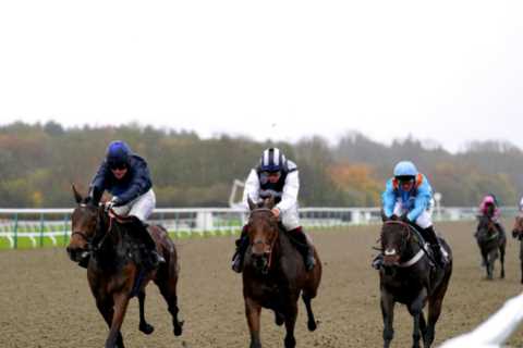 Lucky punter wins incredible £77,215 from just a £3 bet after picking 150-1 and 125-1 winners at..