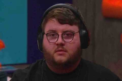 Big Brother Stars Ready to Quit Fame and Return to Day Jobs