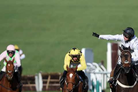 Willie Mullins Grey Could Dominate Cheltenham Festival with Two Wins