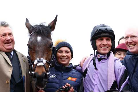 Paul Nicholls Dares Rivals to Take on 'Brilliant' Stage Star in Paddy Power Gold Cup