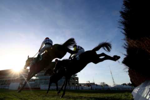 Templegate’s Tote Placepot Picks for Cheltenham’s November Meeting Day One on Friday