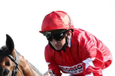 Sir Alex Ferguson Set to Win Big with Manchester United Wonderhorse