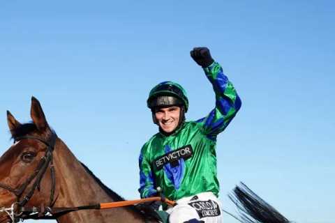 Who won the 2.20 at Cheltenham? Paddy Power Gold Cup 2023 result and finishing order for huge race