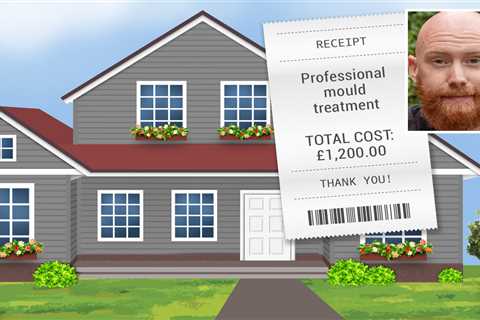 How to Prevent and Remove Mould in Your Home