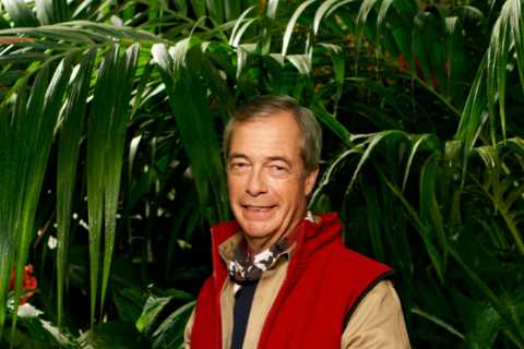 Nigel Farage's Rollercoaster Life: Surviving a Plane Crash, Death Threats, and Cancer