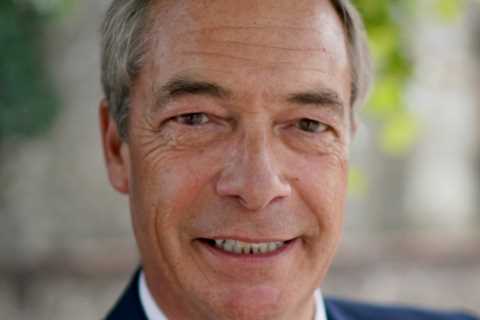 Nigel Farage's Relationship with French Politician Laure Ferrari