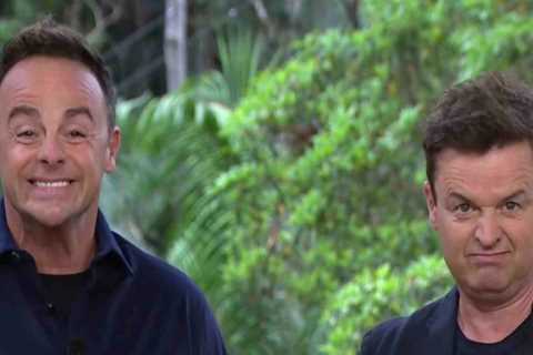 Ant and Dec Mock I'm A Celeb Cast with Swipes at Nigel Farage and Britney Spears' Sister