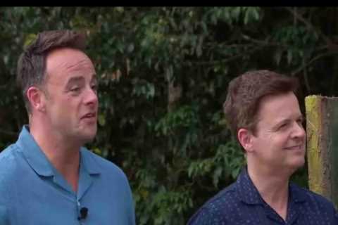 I'm A Celeb Viewers Demand Change as Show is Interrupted by Awful Feature