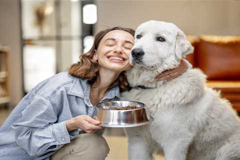 Four Ways to Feed Your Dog Well on a Budget