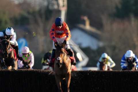 Paul Nicholls takes a gamble with new jockey for Bravemansgame ahead of Betfair Chase