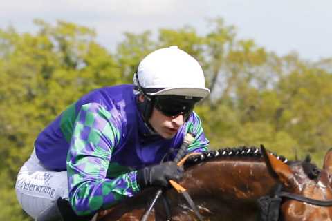 Horse racing in mourning as iconic Thyme Hill dies from gallops injury