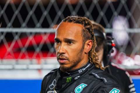 Lewis Hamilton's Replacement for Abu Dhabi Grand Prix Practice Named