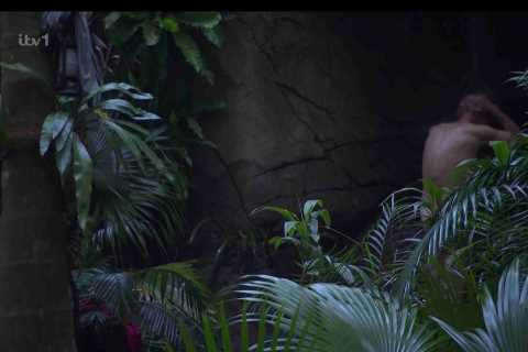 'Disgusting, Traumatising Moment': I'm A Celeb Fans Call Ofcom Over Nigel Farage's Bum