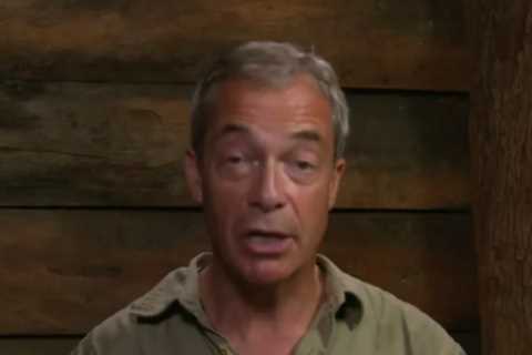 I'm A Celebrity's Nigel Farage Recounts Near-Death Plane Crash Hell That Left Him With Dozens of..