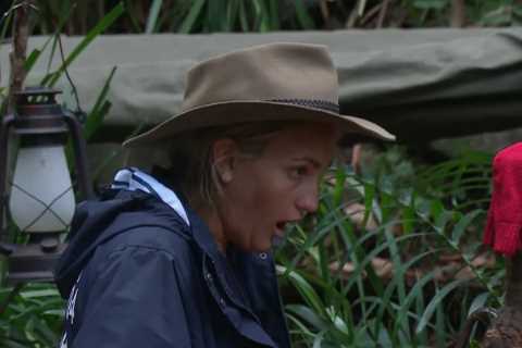 I’m A Celeb’s Jamie Lynn Spears reveals devastating moment sister Britney missed out on major award ..