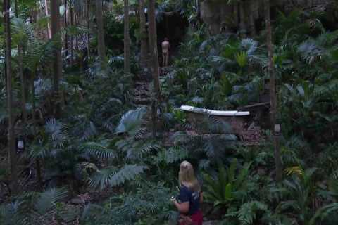 I'm A Celebrity in Controversy Over Nigel Farage's Naked Shower Scene
