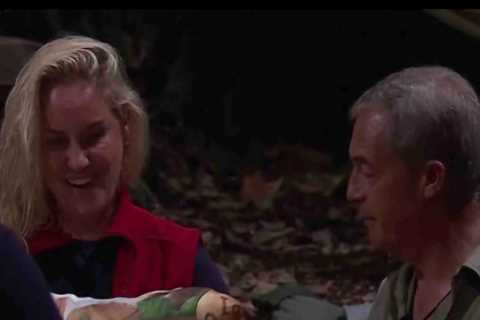 I'm A Celeb Fans Complain About Format Shake-Up